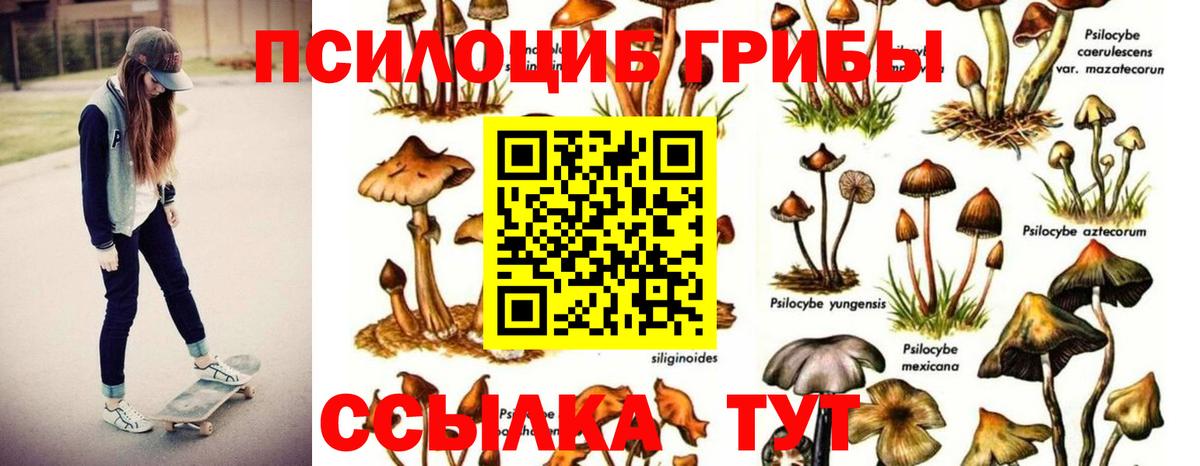 Котельники  Псилоцибиновые грибы мицелий  Псилоцибиновые грибы мухоморы  Вход с VPN 